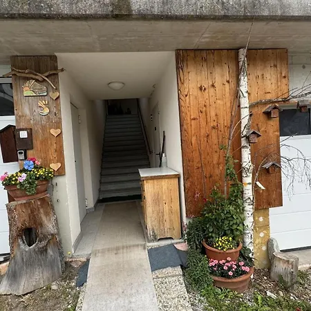 Apartment Mayrhofer Leogang